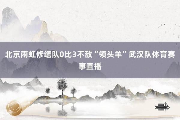 北京雨虹修缮队0比3不敌“领头羊”武汉队体育赛事直播