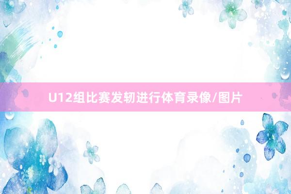 U12组比赛发轫进行体育录像/图片