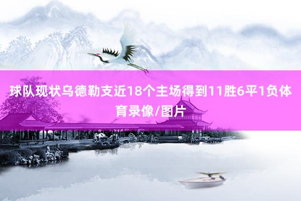 球队现状乌德勒支近18个主场得到11胜6平1负体育录像/图片