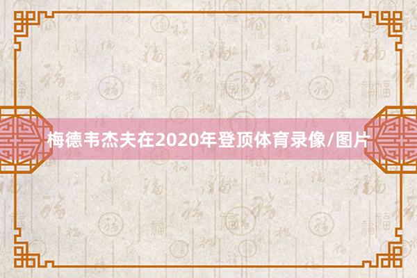 梅德韦杰夫在2020年登顶体育录像/图片