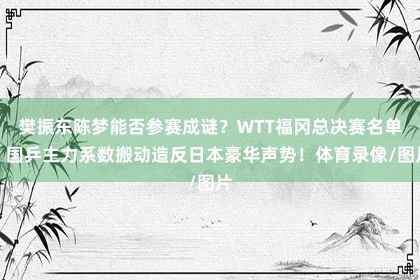 樊振东陈梦能否参赛成谜？WTT福冈总决赛名单：国乒主力系数搬动造反日本豪华声势！体育录像/图片