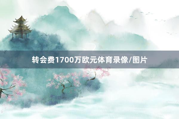 转会费1700万欧元体育录像/图片