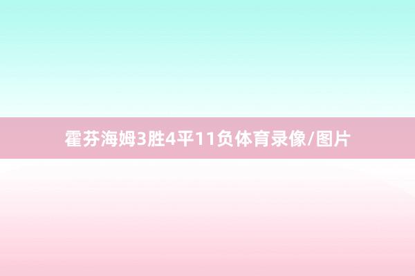 霍芬海姆3胜4平11负体育录像/图片