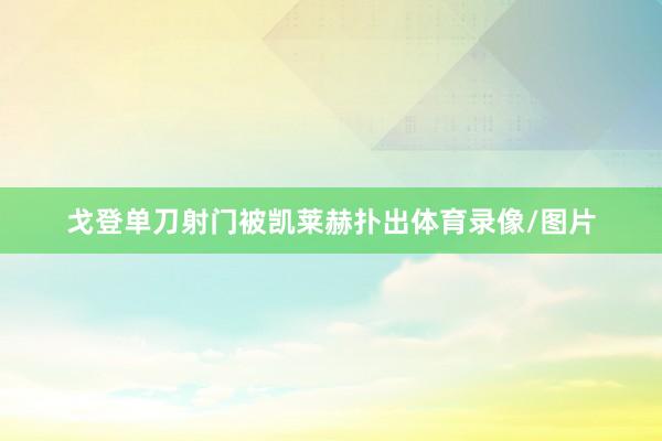 戈登单刀射门被凯莱赫扑出体育录像/图片