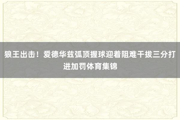 狼王出击！爱德华兹弧顶握球迎着阻难干拔三分打进加罚体育集锦