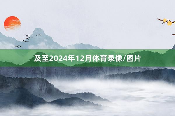 及至2024年12月体育录像/图片