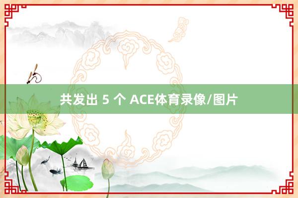 共发出 5 个 ACE体育录像/图片