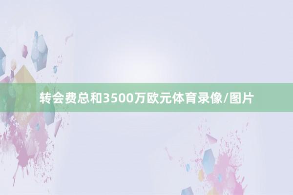 转会费总和3500万欧元体育录像/图片