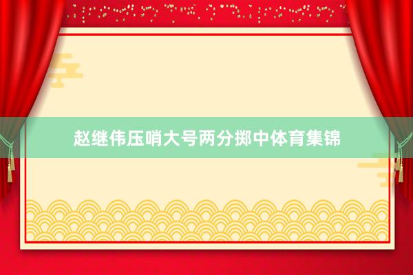 赵继伟压哨大号两分掷中体育集锦